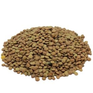Lenteja x 500G