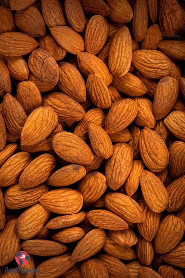 ALMENDRA N PAREIL DE CHILE 20/22 500G